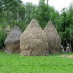 tipicne kopice sena na Karpatih_1200