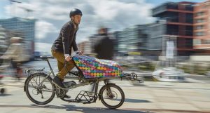 hase-tandem-lastenfahrrad-pino-1400x800