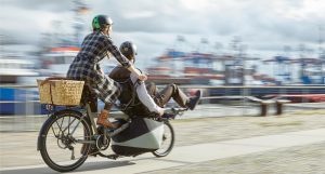 hase_tandem-pino-1400x800