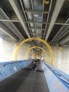 Liegedreirad-ICE-Adventure-Wien1 Liegedreirad-ICE-Adventure-Wien1